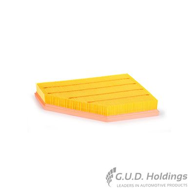 GUD Air Filter AG1928 for BMW 3 330 | SparesX - Image 2