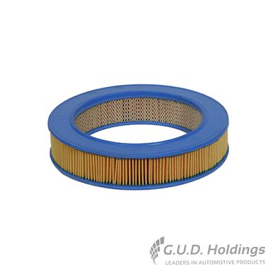 GUD Air Filter AG401 for BMW 5 525 | SparesX - Image 2